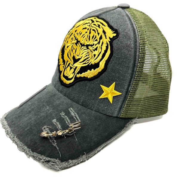 Tiger Roar - Image 2